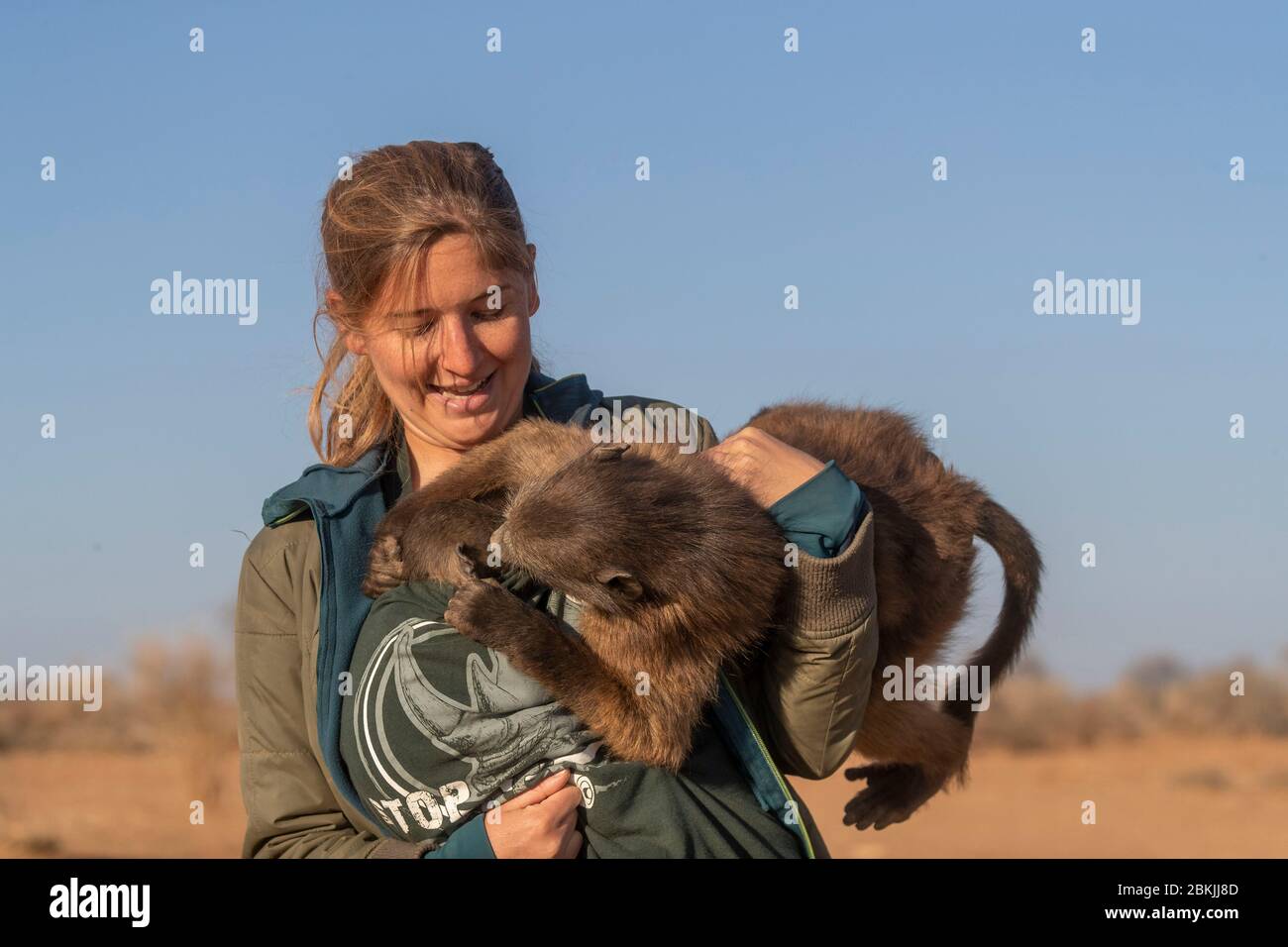 Namibia, Private Reserve, Chacma oder Chacma Pavian (Papio ursinus), junge von Freiwilligen getragen Stockfoto