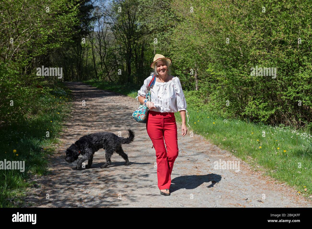 Europa, Luxemburg, Insenborn, attraktive ältere Frau, die ihren portugiesischen Wasserhund geht Stockfoto