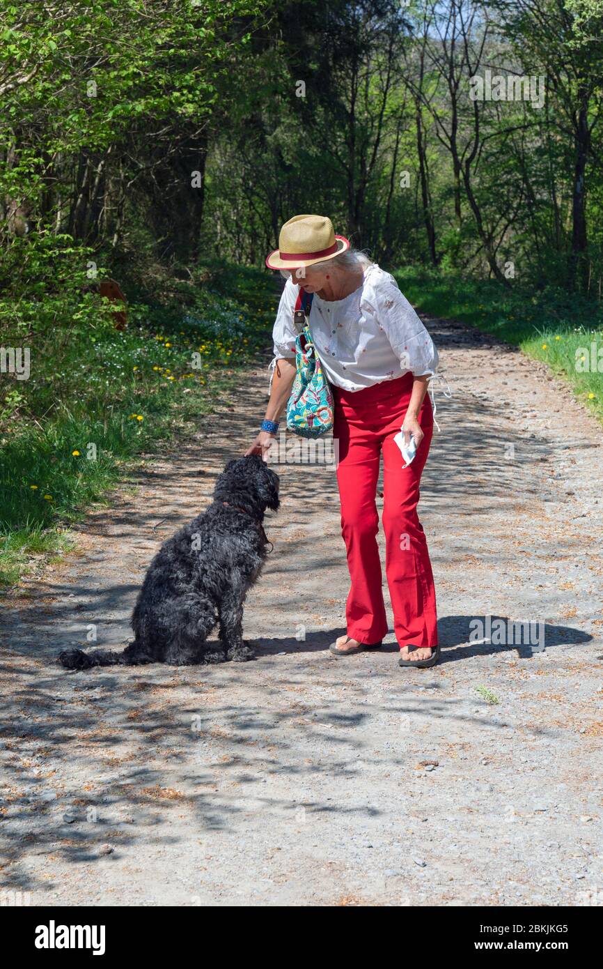 Europa, Luxemburg, Insenborne, attraktive ältere Frau, die ihren portugiesischen Wasserhund geht Stockfoto