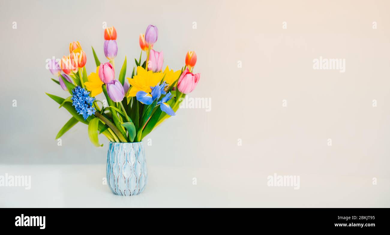Frische Frühling Pastellfarben Bouquet von Tulpen, Narzissen, Iris in Vase  auf weißer Oberfläche mit hellbeigem Hintergrund stehend. Festliche Blumen  für gif Stockfotografie - Alamy