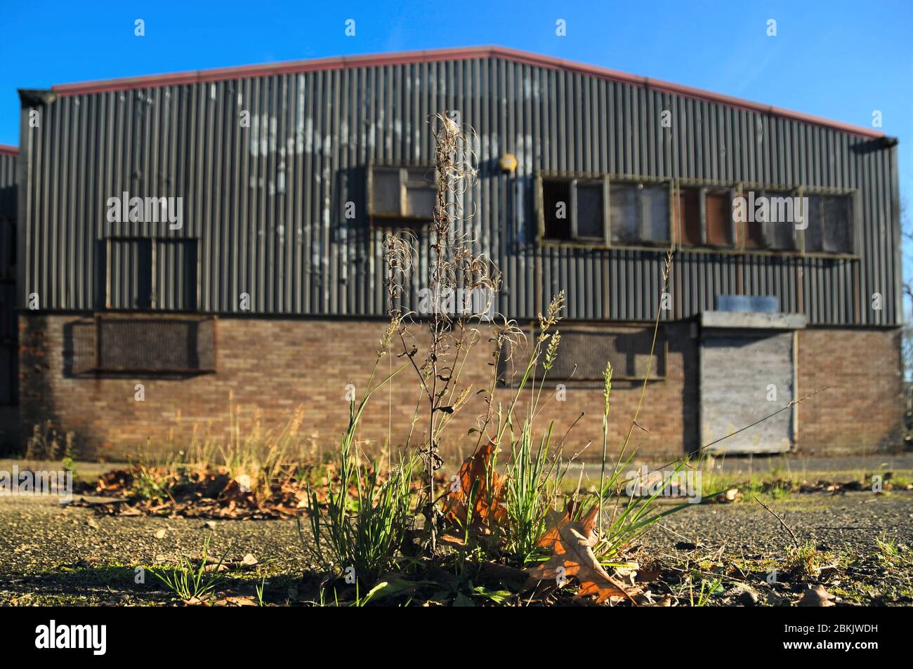 Gras und Unkraut wachsen aus dem Boden vor einer verwelkelten Fabrik, die als Hintergrund verschwommen ist Stockfoto