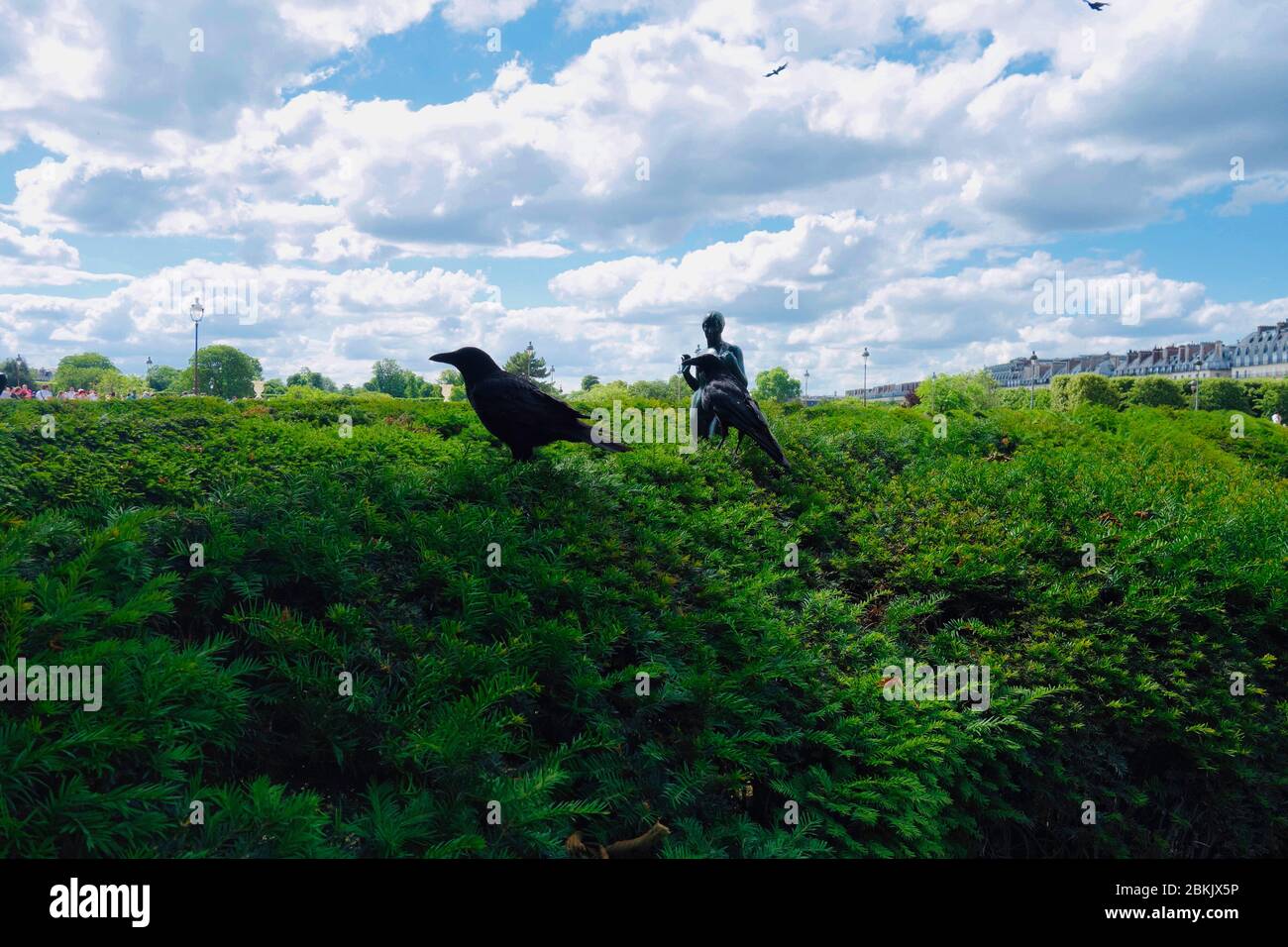 Musée du Louvre, Tuilerien-Garten mit Vogel (Krähe) und Skulptur Stockfoto