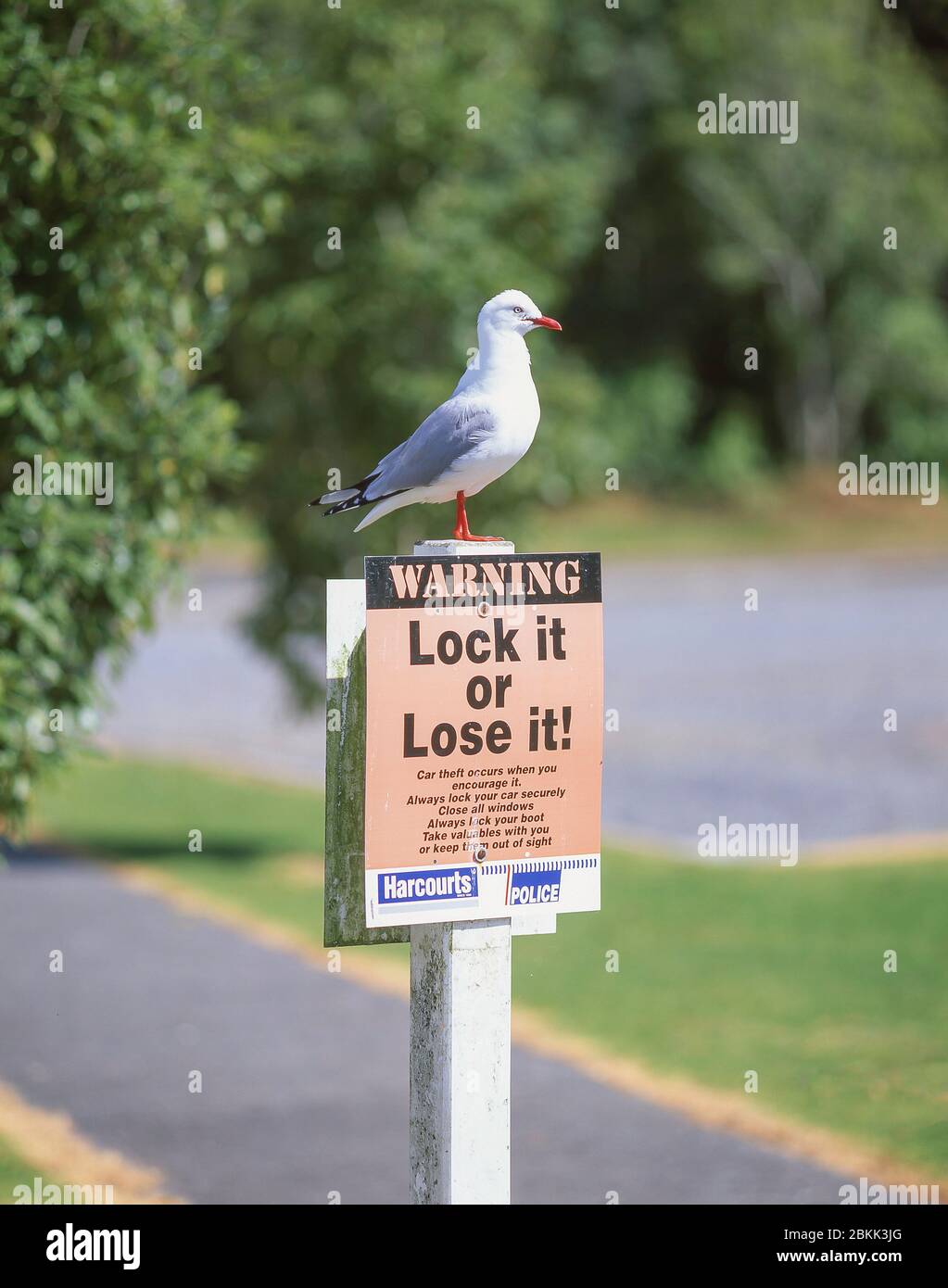 Warnschild 'Lock it or lose it' auf Parkplatz, Weston-super-Mare, Somerset, England, Vereinigtes Königreich Stockfoto