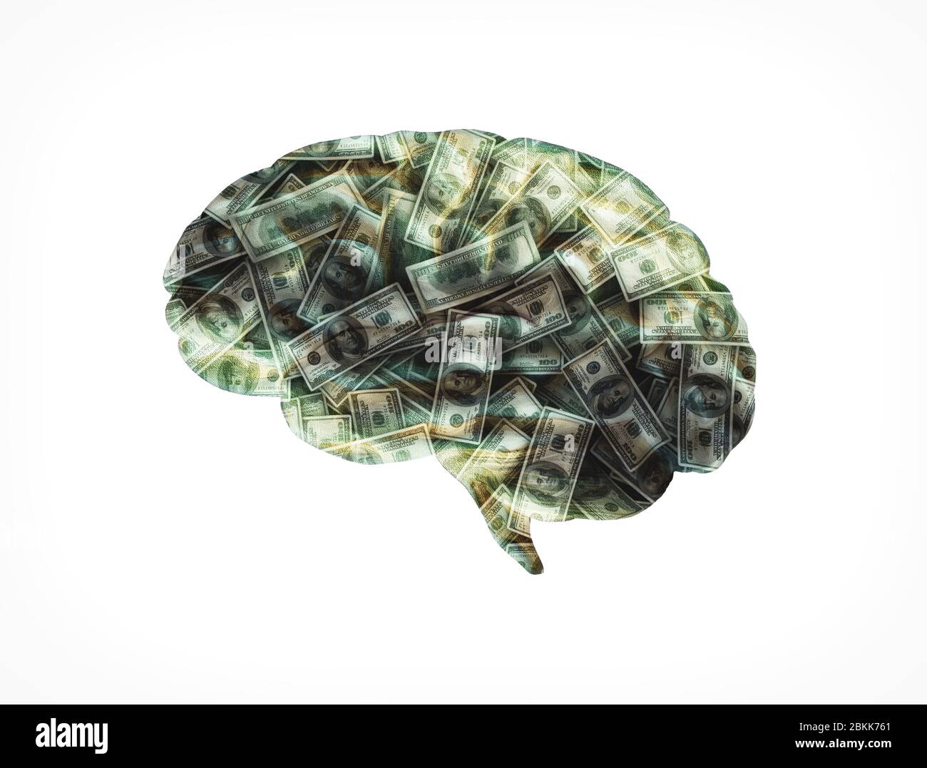 Menschliches Gehirn US Dollar Textur. Isoliert auf weißem Hintergrund Stockfoto