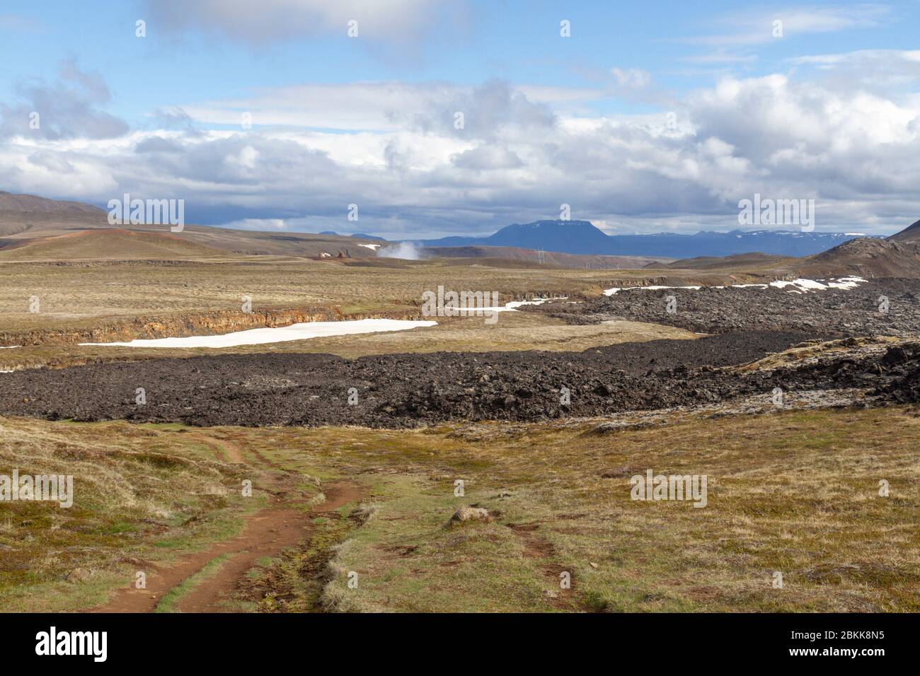 Kontrast des Gebietes, das von einem Lavastrom (der letzten 30 Jahre) unberührt war (nach Süden gerichtet), im Krafla-Vulkangebiet bei Mývatn, Island. Stockfoto