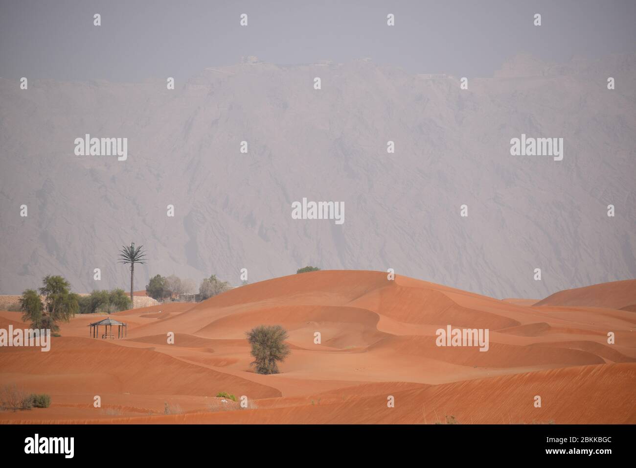 Hütte in einer roten Sandwüste bei Al ain.Jabel Hafeet im Hintergrund.Dies ist die echte Farbe des Sandes hier Stockfoto