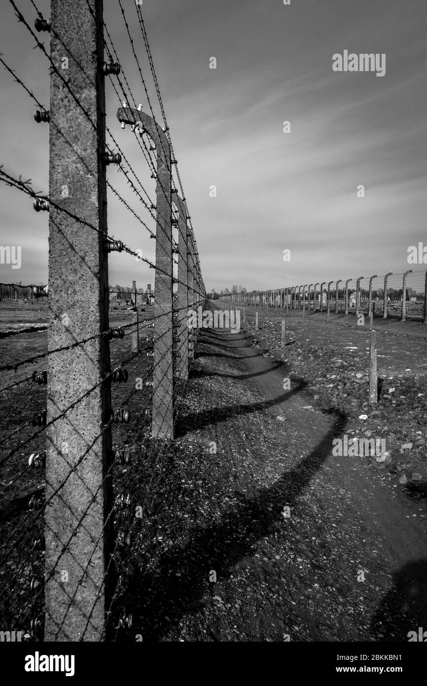 Der Todesweg, Auschwitz II, der zu den Gaskammern führt. Stockfoto