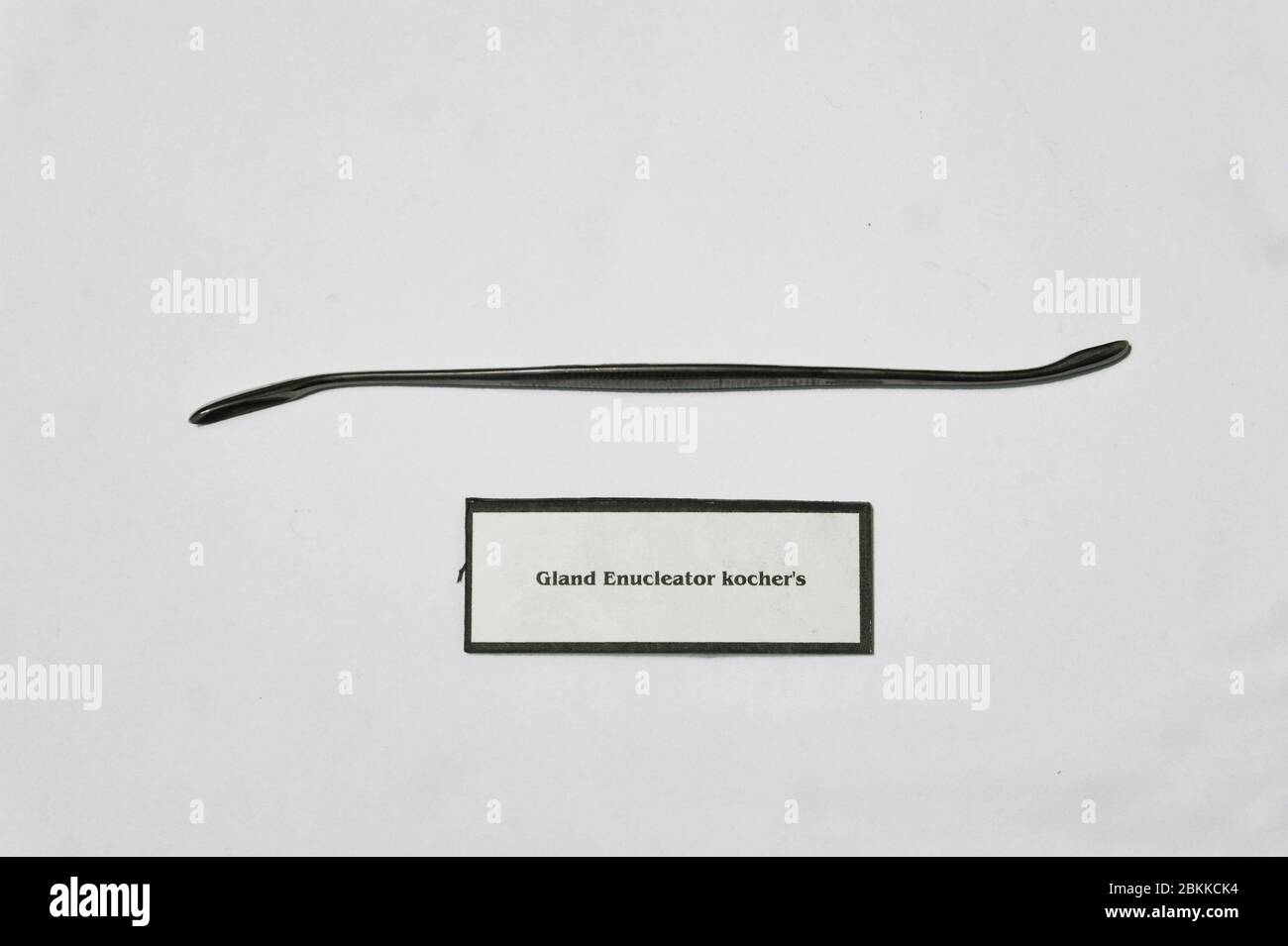 Ein Vintage Kocher Drüsenenukleator verwendet, um die harten Gewebe um die Schilddrüse zu trennen. Stockfoto