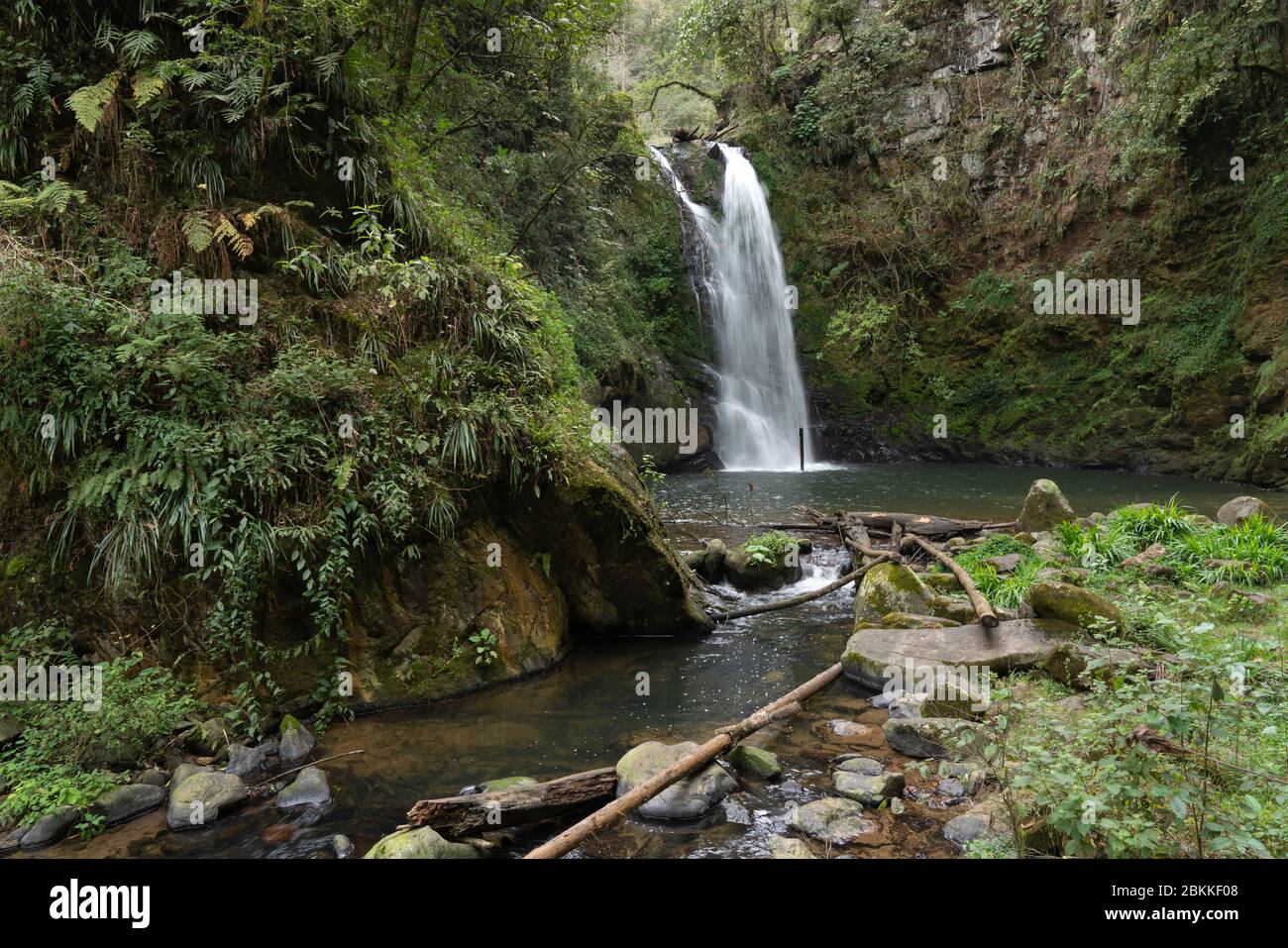 Ein Wasserfall um dichte Vegetation in Ahila Stockfoto