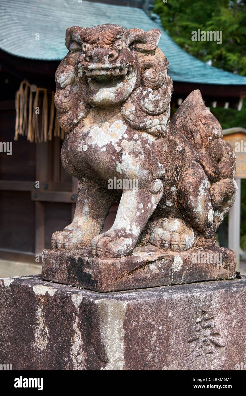 A-gyo Komainu Löwenhund mit offenem Mund, bewacht den Eingang von Masha Hachiman auf dem Gebiet des Schikichi-jinja Schreines (Wara-tenjin). Kyoto. Stockfoto
