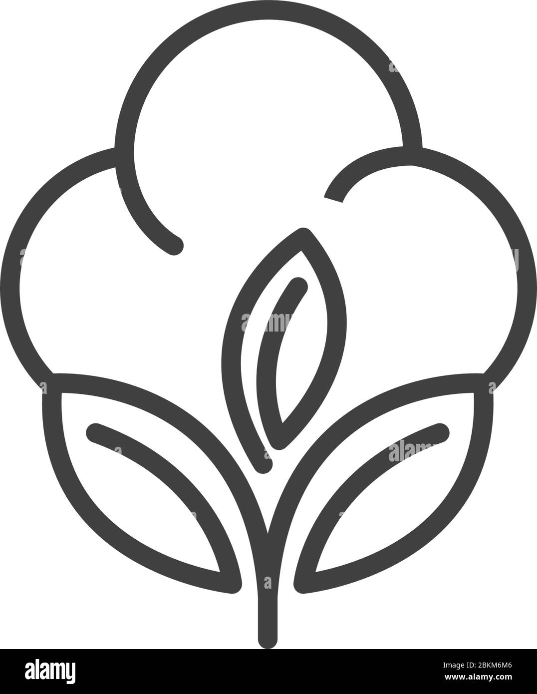 Baumwolle Blume Vektor Symbol Vorlage Symbol Natur Stock Vektor
