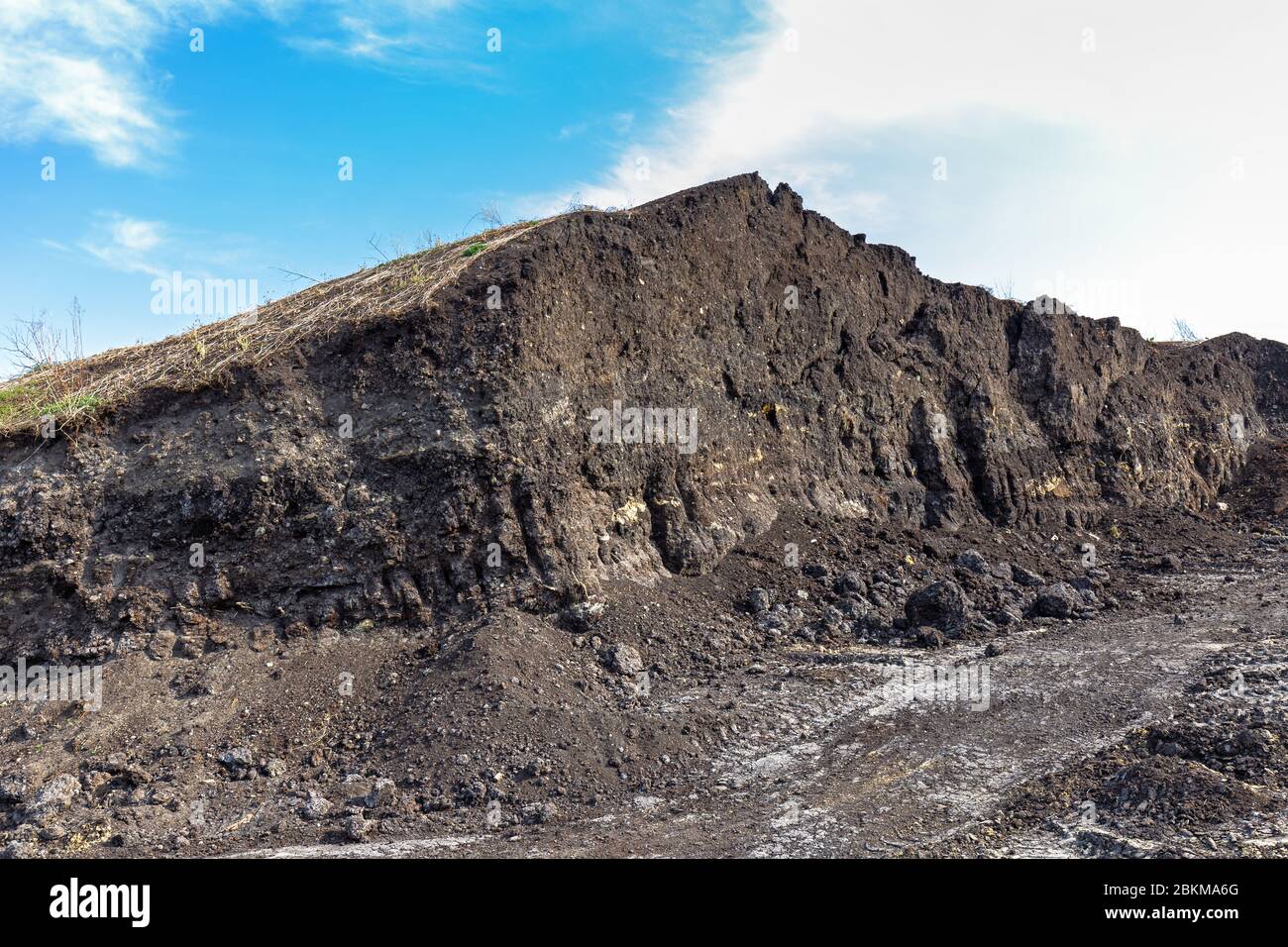 Schwarze Erde für ein Spargelfeld bei Schrobenhausen, Bayern Stockfoto