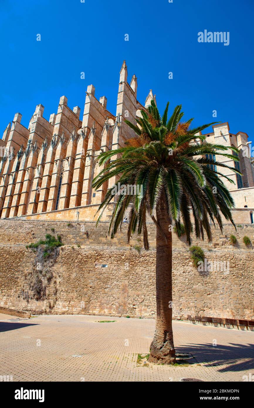 Kathedrale, Palma de Mallorca, Balearen, Spanien Stockfoto