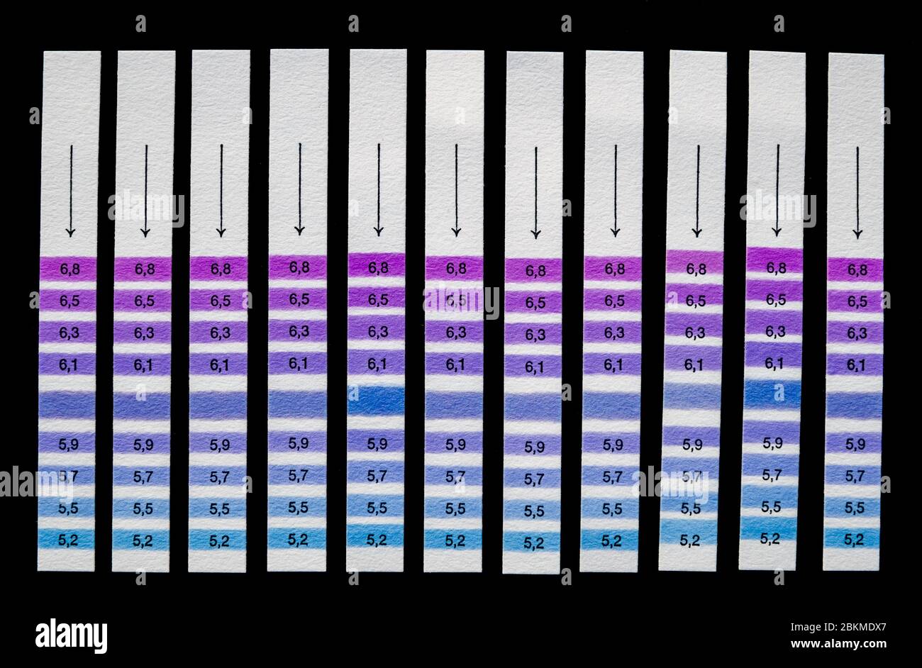 Teststreifen auf schwarzem Hintergrund Stockfoto