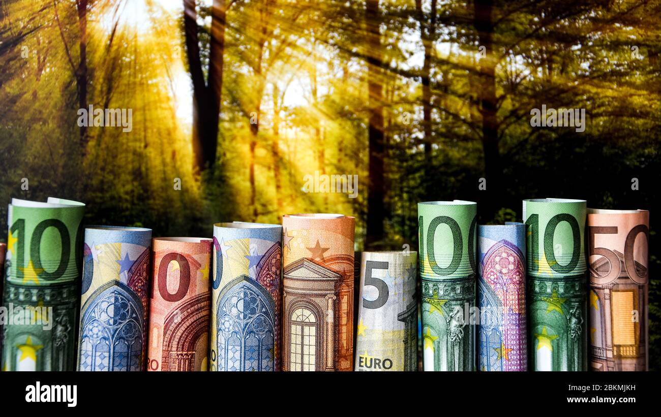 Gerollte Euro-Banknoten auf Naturhintergrund mit Sonnenlicht Stockfoto