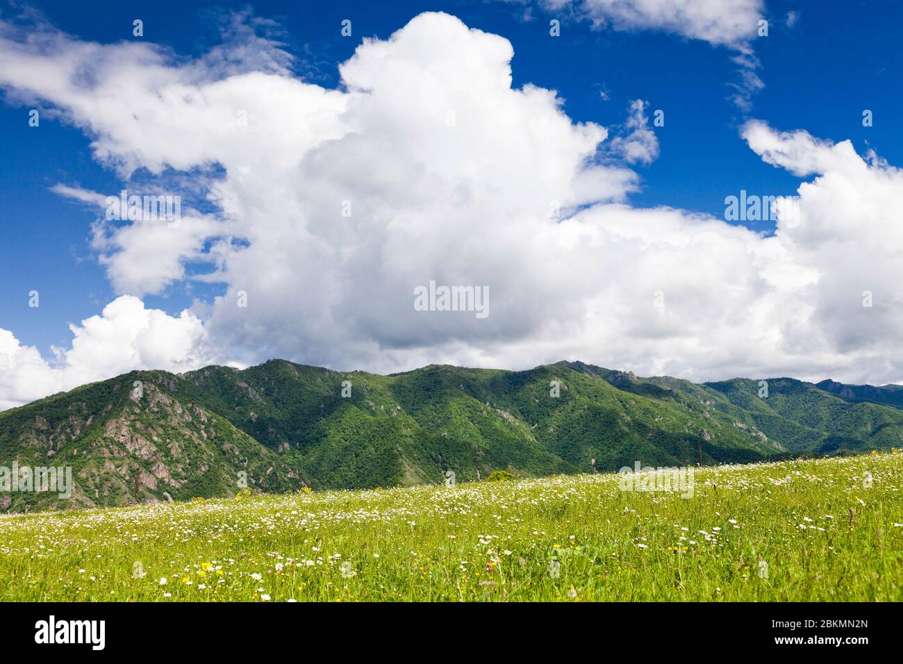 Neues grünes Plateau der Schlucht Debed, in der Nähe der Odzun Kirche, Odzun, Lori Provinz, Armenien, Kaukasus, Asien Stockfoto