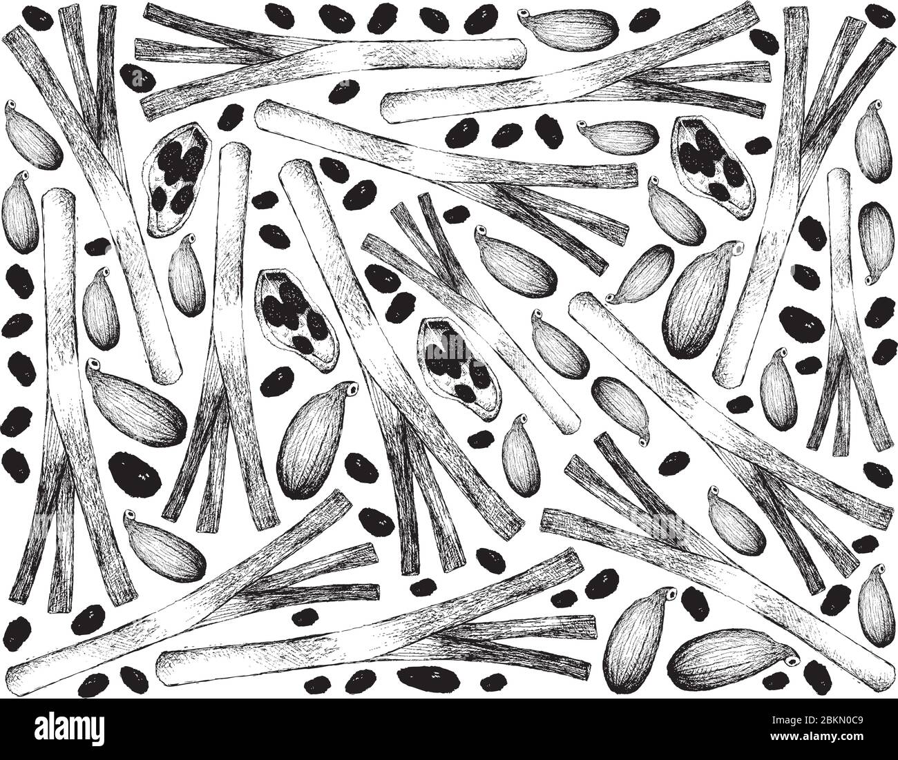 Kräuterpflanzen, Illustration Handgezeichnete Skizze von frischen Schalotten, spanischen Zwiebeln oder roten Zwiebeln mit Kardamom Pods zum Würzen beim Kochen verwendet. Stock Vektor