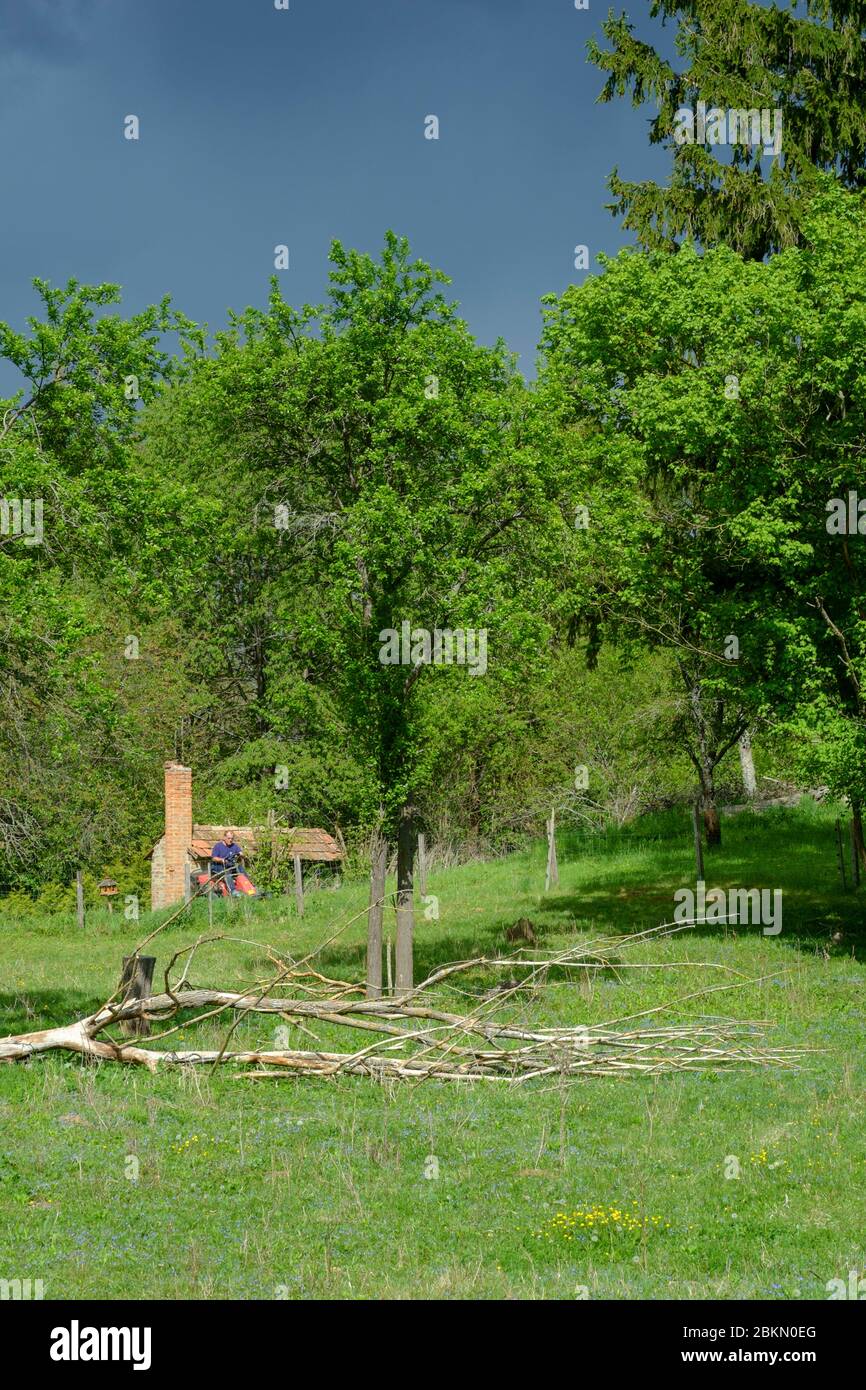 Männlich Schneiden Gras mit Fahrt auf Mäher hinter toten Baum auf dem Boden unter dunklen Wolken des nahenden Sturm zala County ungarn Stockfoto