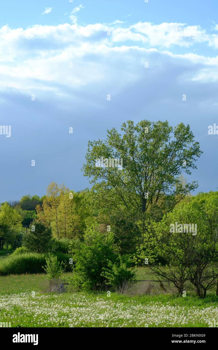 Dunkle Sturmwolken nähern sich über einer ländlichen Landschaft im zala County ungarn Stockfoto