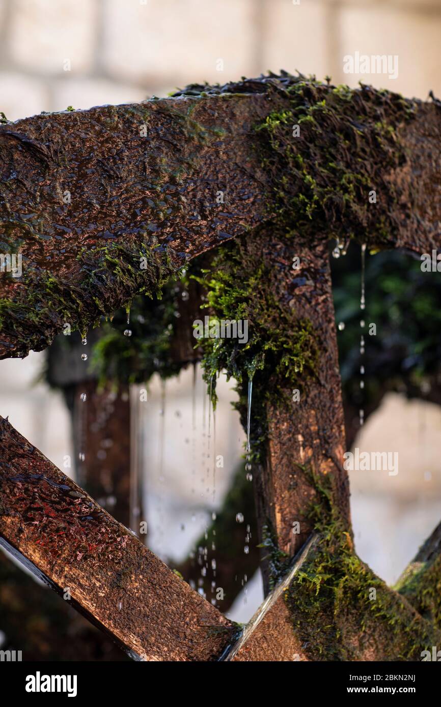 Detail einer Wassermühle mit Moos mit Wasser aus dem Fluss Ljuta bedeckt. Die Mühle steht neben. Zu einem kroatischen Restaurant in Konavle, der ländlichen Gegend so Stockfoto