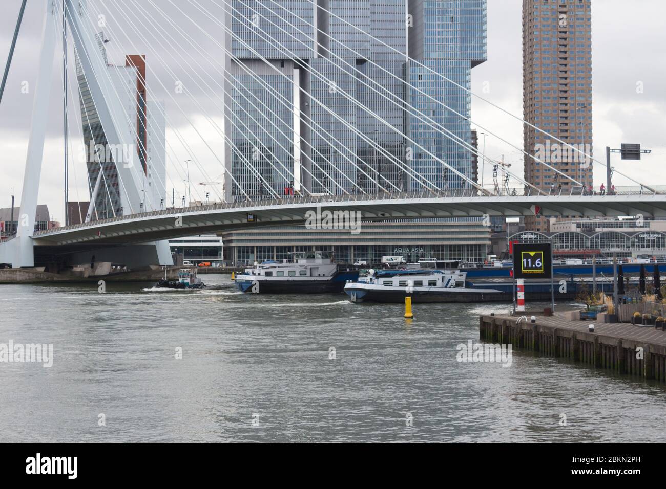 Rotterdam Erasmus-Brücke Tagesansicht der wolkige Himmel, Niederlande Stockfoto