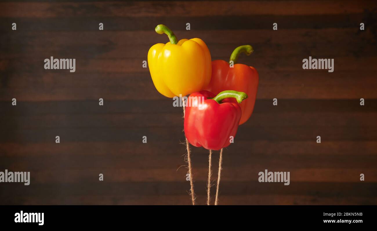 Bunte Paprika schweben wie Ballons auf Fäden vor dunklem Holzhintergrund mit Kopierraum. Gemüse Zusammensetzung für Küche Design Stockfoto