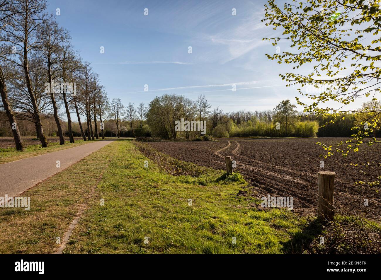 Blick auf die ländliche Gegend in der Nähe des Philips de Jongh Parks und Strijp R in Eindhoven City an einem sonnigen Sommertag. Niederländische Natur mit einer Straße, Bäumen und g Stockfoto