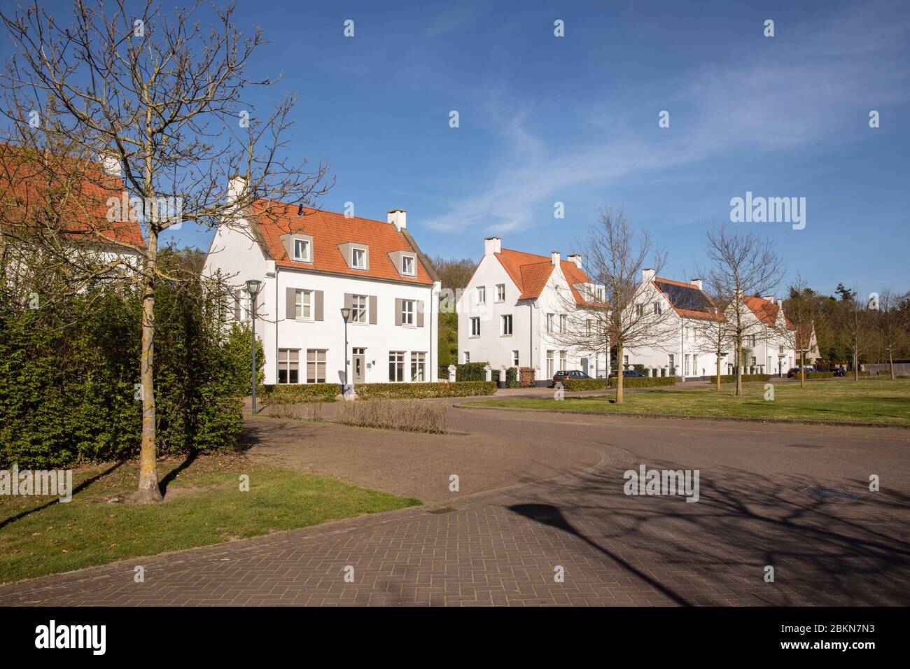 Moderne weiße holländische Häuser mit orangefarbenem Dach in Eindhoven, umgeben von Bäumen, einer grünen Hecke und Grün an einem sonnigen Tag im Frühling schaffen Stockfoto