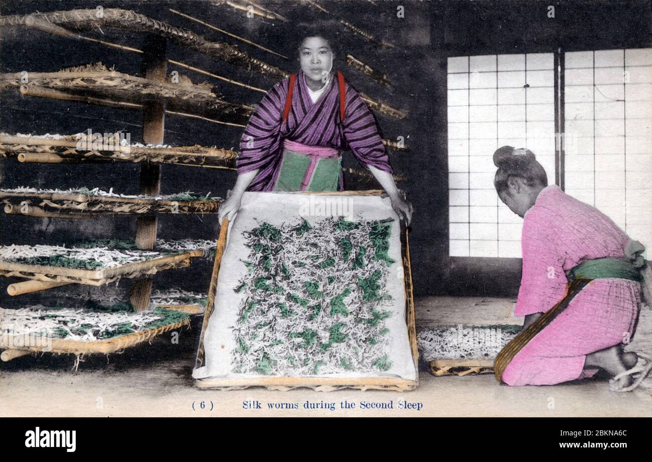 [ 1910 Japan - Japanische Seidenzucht ] - zwei Frauen arbeiten während ihres zweiten Schlafes mit Seidenraupen. Diese Postkarte stammt aus einer Serie über die Serikultur, die die Schritte zeigt, die bei der Seidenherstellung erforderlich sind. Dies ist Karte 6. Vintage-Postkarte des 20. Jahrhunderts. Stockfoto