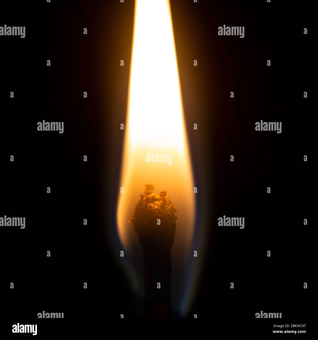 Brennende Flamme auf einem isolierten Streichholz auf schwarzem Hintergrund Stockfoto