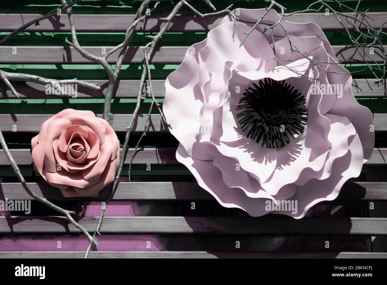Rosa Rosenblüten Anordnung isoliert auf weiß. Stockfoto