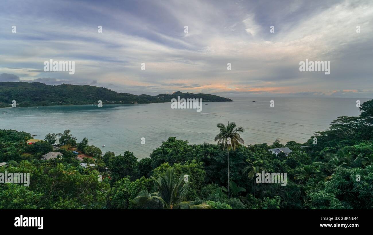 Landschaftsfoto mit Blick über eine Bucht auf Mahe Island Seychellen mit dem reichen Grün und einer großen Palme Stockfoto
