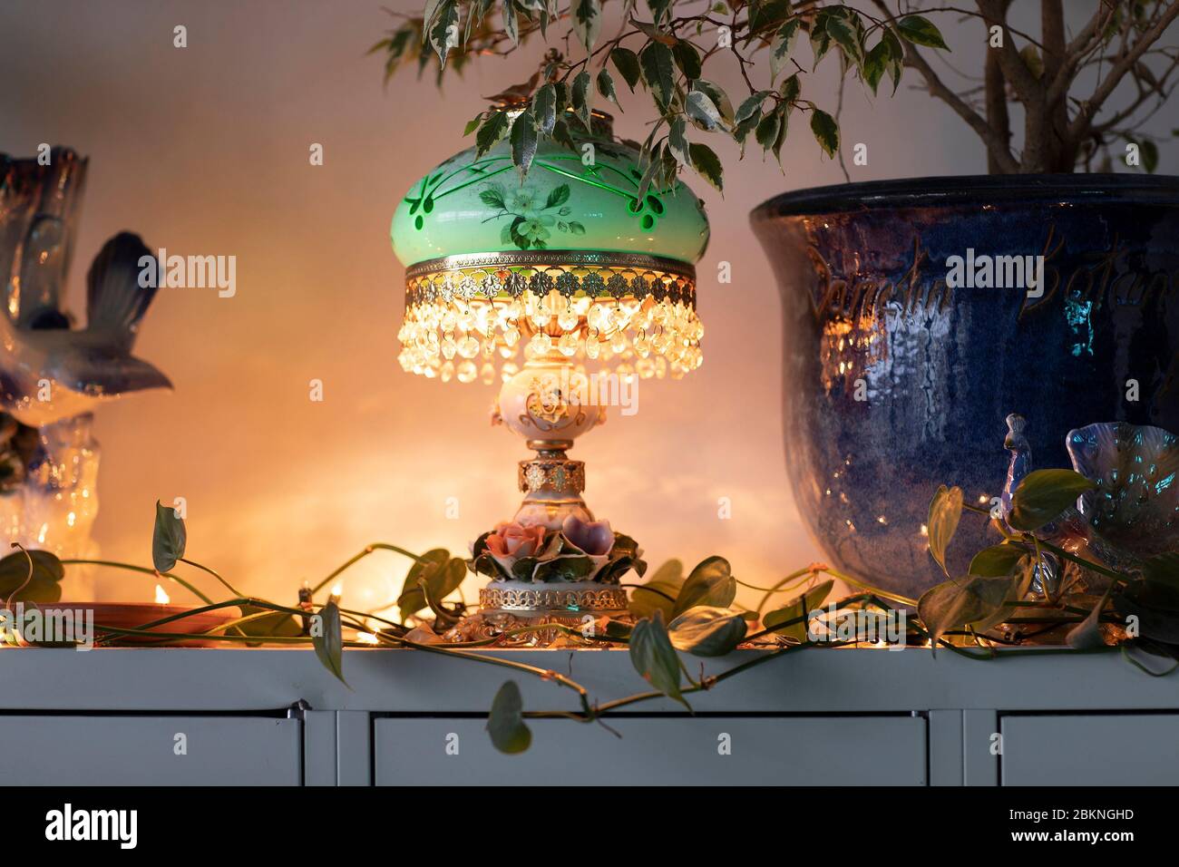 Eine grüne Lampe im Vintage-Stil, umgeben von Hauspflanzen in einem Innenstadtloft in Strijp S, Eindhoven, Niederlande. Ein Mix und Mach, eklektisch Stil Zuhause Stockfoto