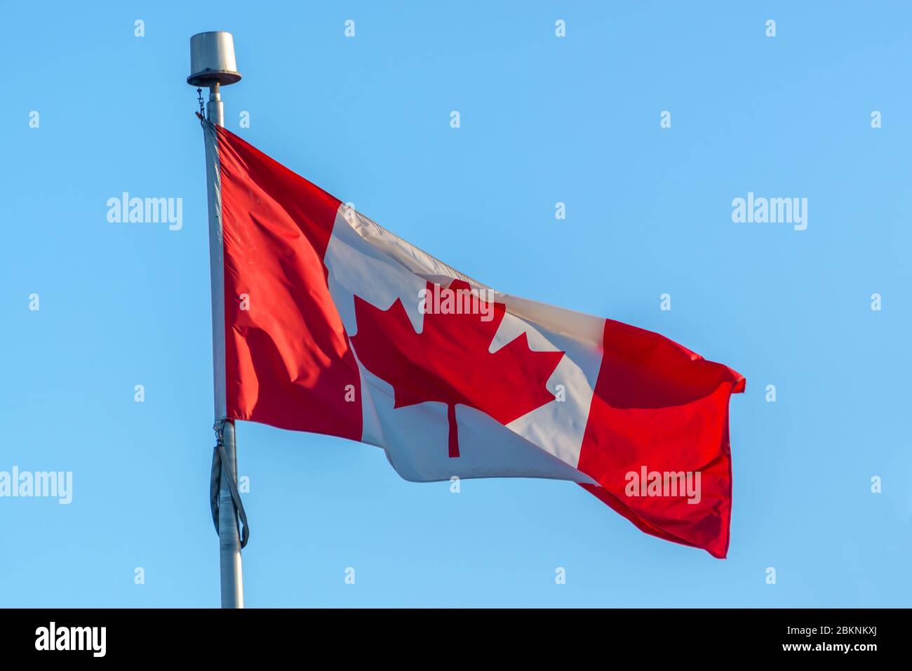 Kanadische Flagge auf einem Mast, blauer Himmel Hintergrund Stockfoto