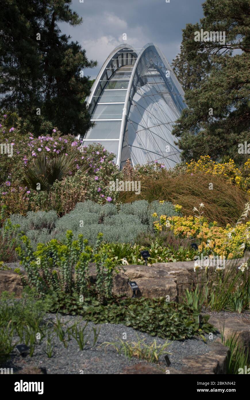 Davies Alpine House Glasbogen Dachverglasung Moderne Architektur Royal Botanic Gardens Kew Gardens, Richmond, London von Wilkinson Eyre Atelier Ten Stockfoto