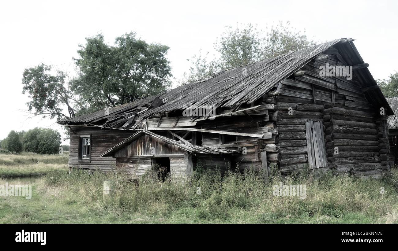 Altes Holzhaus in Archangelsk Region, ein Wohndorf Haus in einem Walddorf, verlassene Menschen und vernagelt Haus. Russland Stockfoto