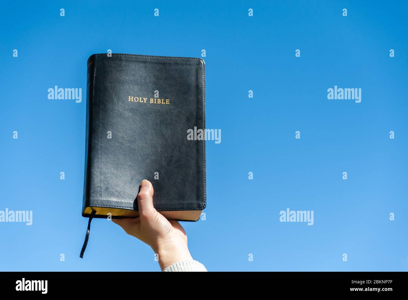 Erhobene Hand, die die Heilige Bibel hält. Hintergrund mit blauem Himmel an einem schönen Wintermorgen. Nahaufnahme. Kopierbereich. Horizontale Aufnahme. Stockfoto