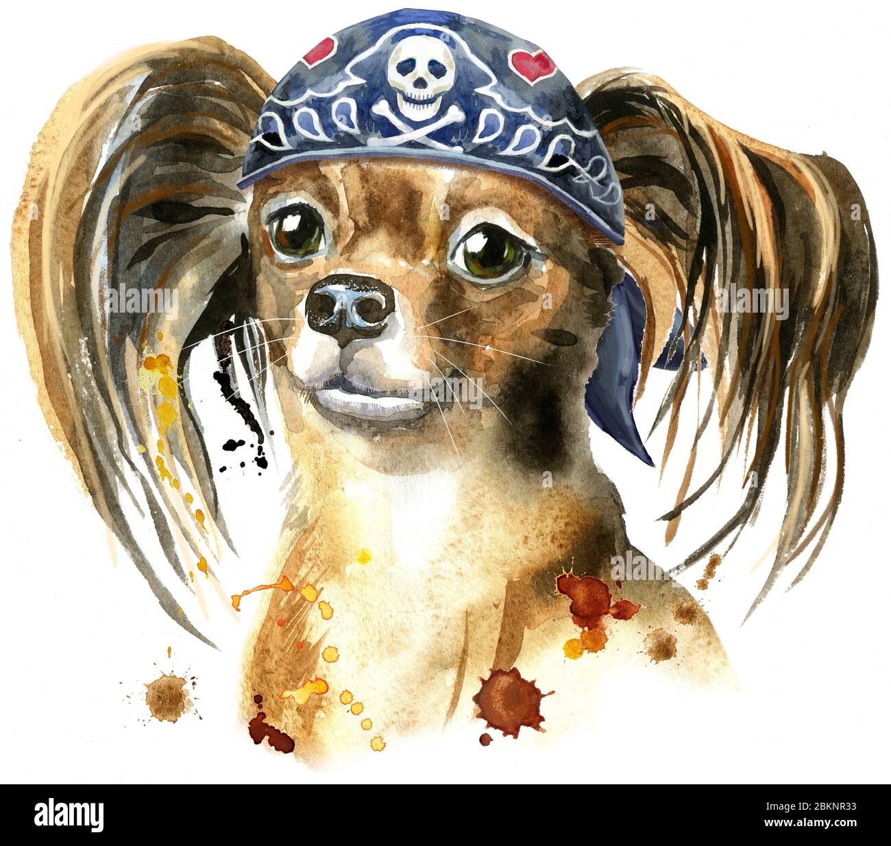 Niedlicher Hund im Biker-Bandana. Hund T-Shirt Grafiken. Aquarell Toyl Terrier Illustration Stockfoto