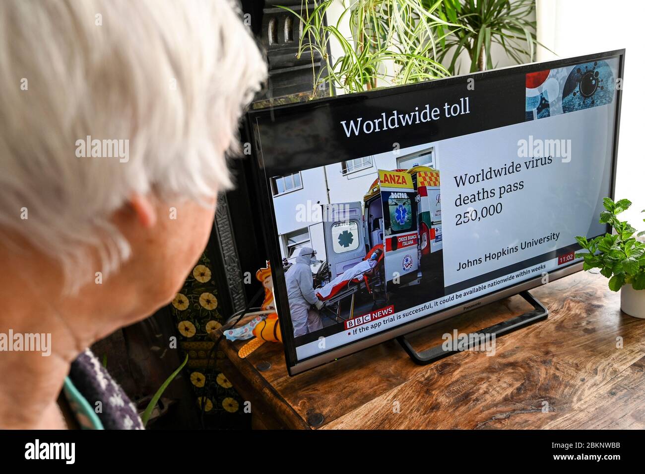 Ältere Frau, die die Nachrichten mit der Überschrift "weltweite Virustodesfälle passieren 250,000" und einem Bild von einem Patienten, der in einen Krankenwagen gehoben wird, beobachtet. Stockfoto