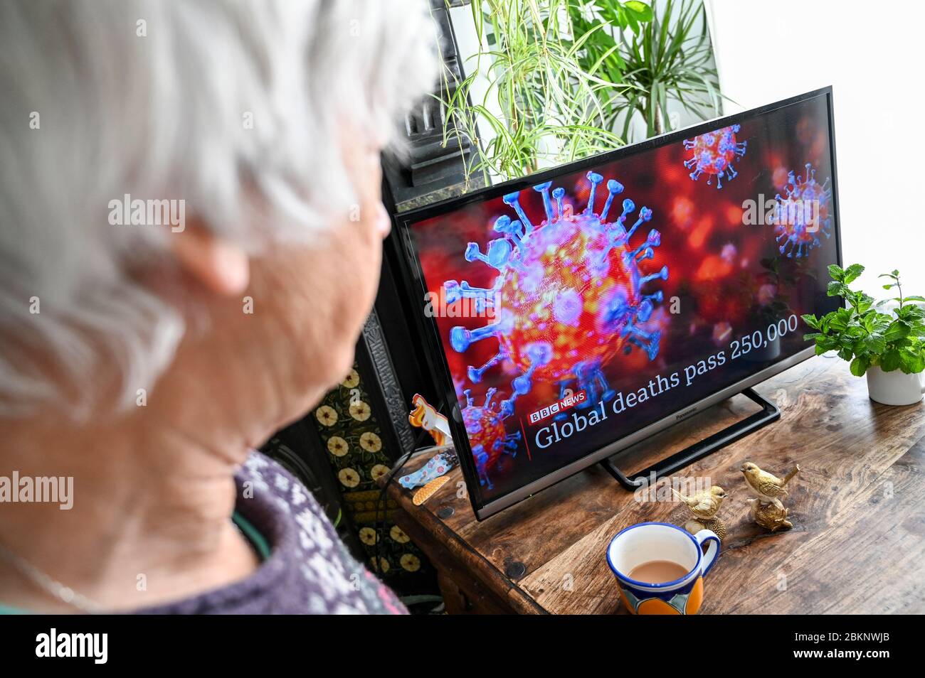 Coronavirus-Grafik im Fernsehen mit der Überschrift 'Global Deaths Pass 250,000'. Von einem älteren Zuschauer beobachtet. Stockfoto