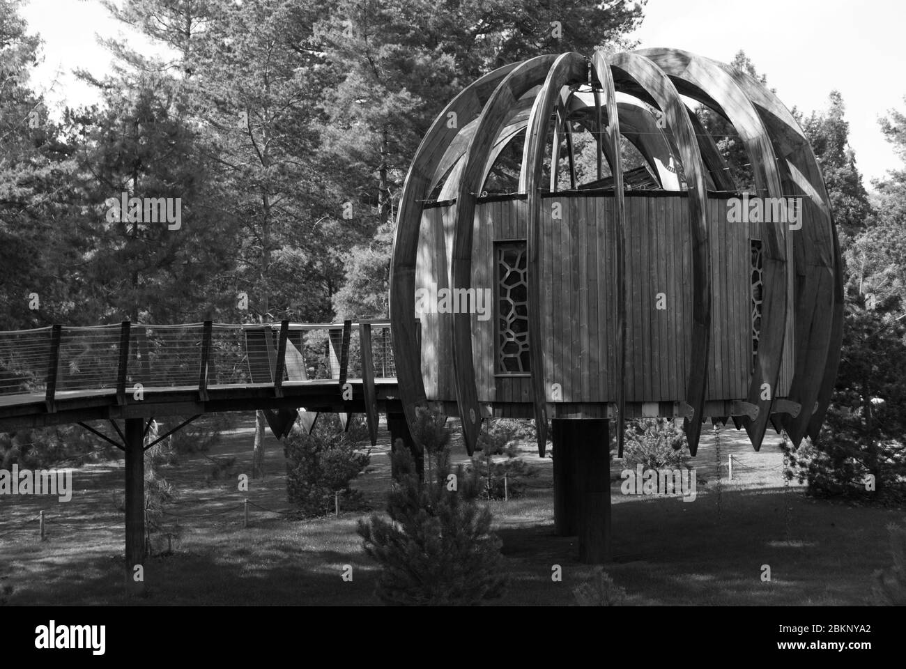 Ruhiges Mark Treehouse Woodland House Naturgebiet Royal Botanic Gardens Kew Gardens, Richmond, London von Blue Forest Designer Peaceful Tree Forest Stockfoto