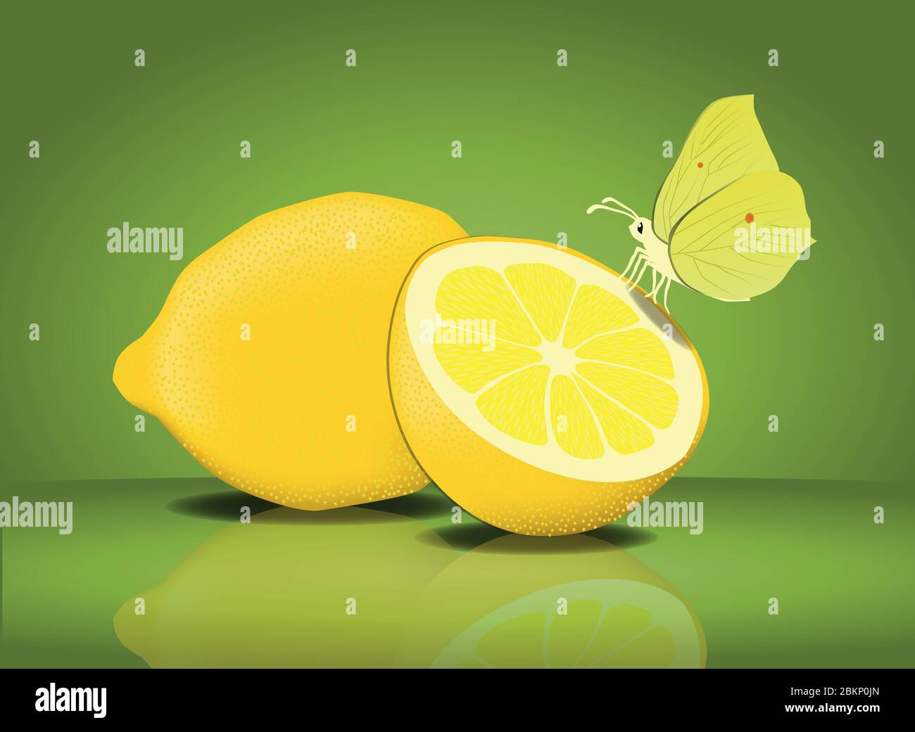 Brimstone Schmetterling auf einer Zitrone hübsch zierlich gelb schön Stock Vektor