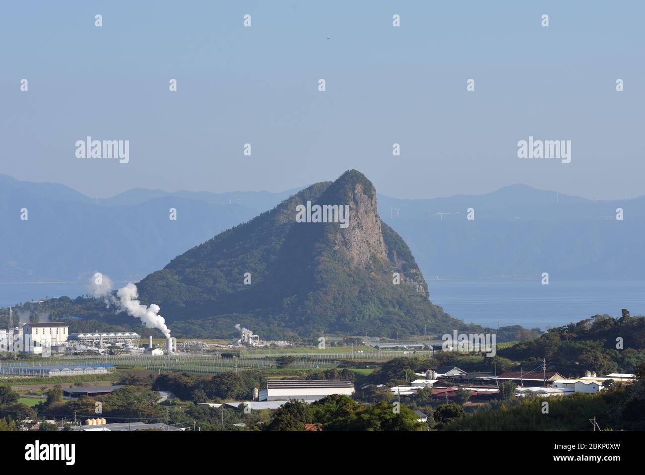 Cycad Rock, Kagoshima, Südküste, Japan Stockfoto