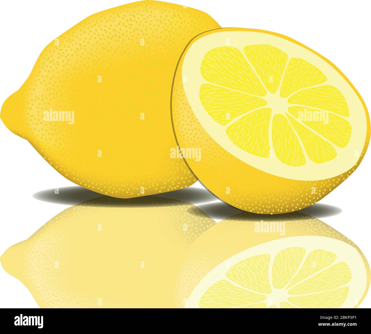 Zitrone Vektor Zitrone Zitrusfrüchte Südustrische Sour Stock Vektor