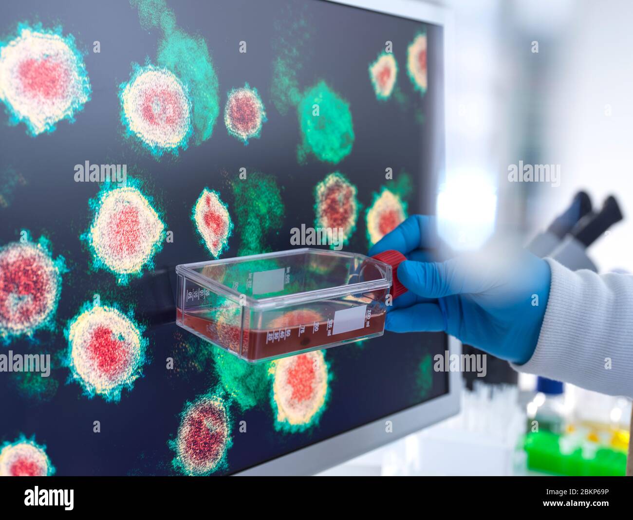 Pharmazeutische Forschung zu Krankheiten und Pandemien. Wissenschaftler halten ein Gefäß mit Zellen vor einem Bildschirm mit einem Bild eines Virus. Stockfoto