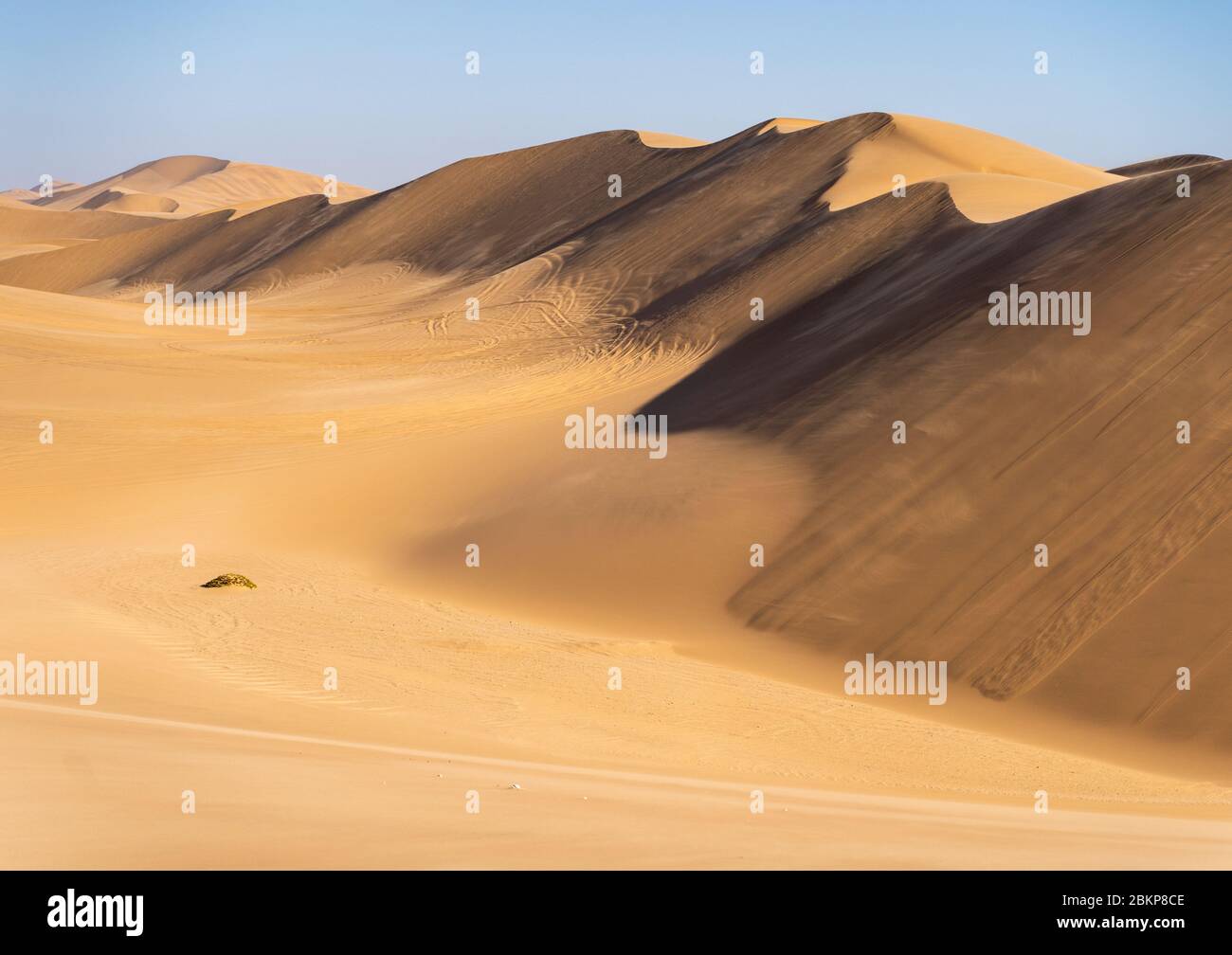Filigranes Dünenmuster, das von der Nachmittagssonne beleuchtet wird, in der Wüste nahe Swakopmund, Namibia Stockfoto