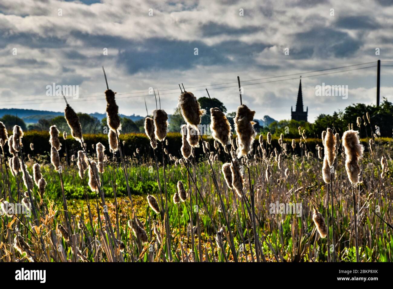 Grantham Canal, Vale of Belvoir Stockfoto