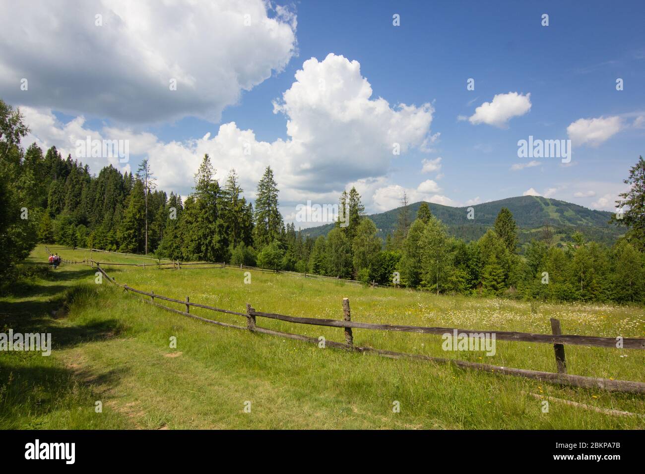 Gras auf grünen Sommerweide mit Holzzaun auf Bauernhof in Karpaten in der Ukraine mit bewölktem blauen Himmel Hintergrund Stockfoto