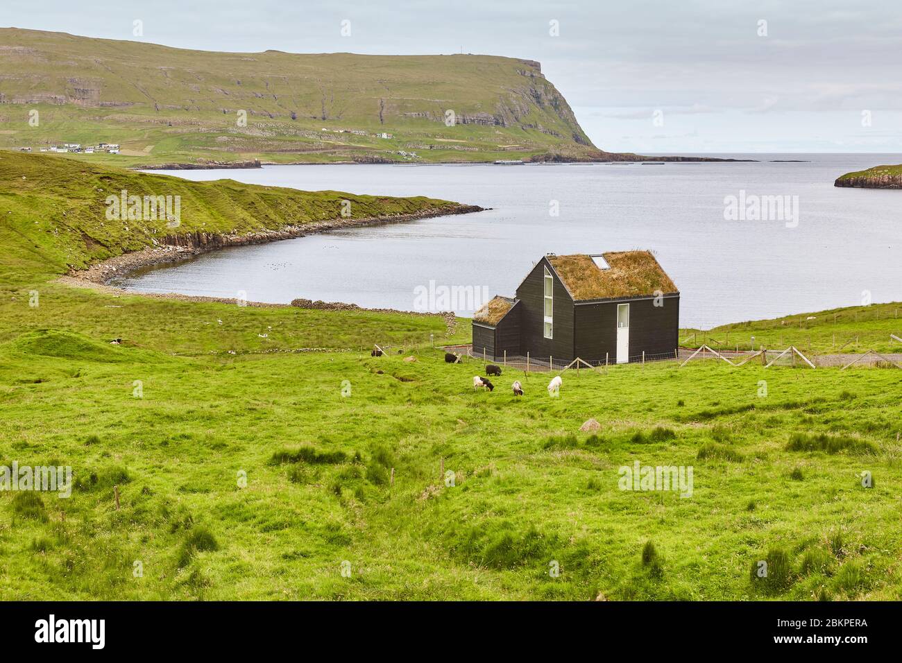 Traditionelles faroesisches grünes Dachhaus auf dem Land. Suduroy, Färöer Stockfoto