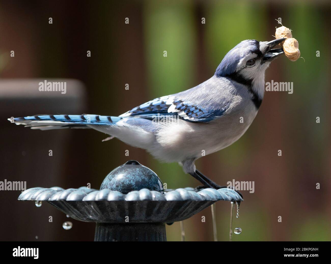 Halte dich auf Stockfoto